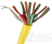16/4 SJT 12V CURLY CORD